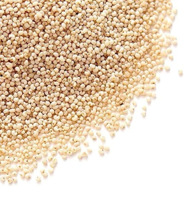 Khash Khash (Poppy Seeds)