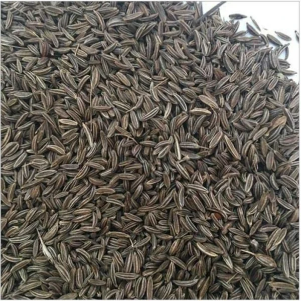 Shah Zira (Black Cumin Seeds)