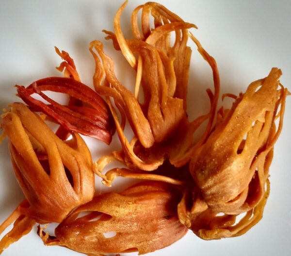 Javitri (Mace Spice)